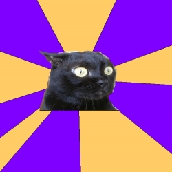 Anxiety Cat